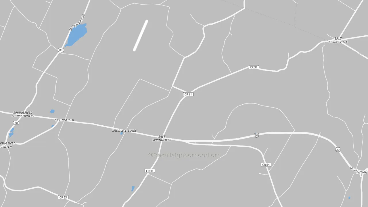Walk Grade map of East Springfield, NY, walkable areas in green and car-dependent areas in red