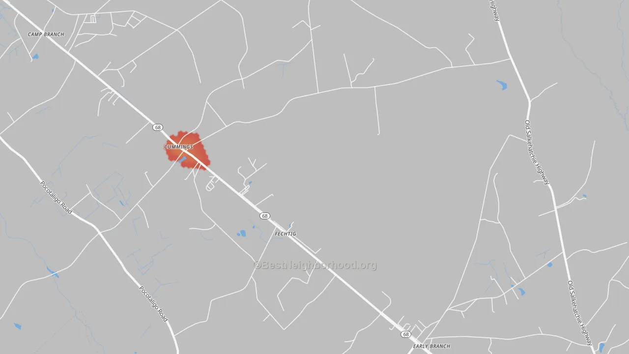 Walk Grade map of Fechtig, SC, walkable areas in green and car-dependent areas in red