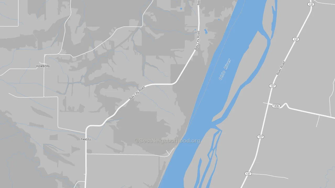Walk Grade map of Homberg, IL, walkable areas in green and car-dependent areas in red