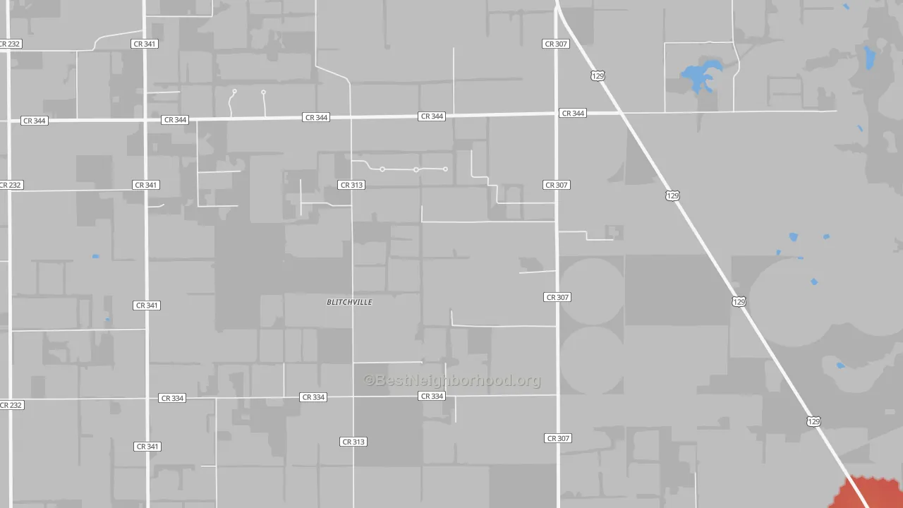 Walk Grade map of Lottieville, FL, walkable areas in green and car-dependent areas in red