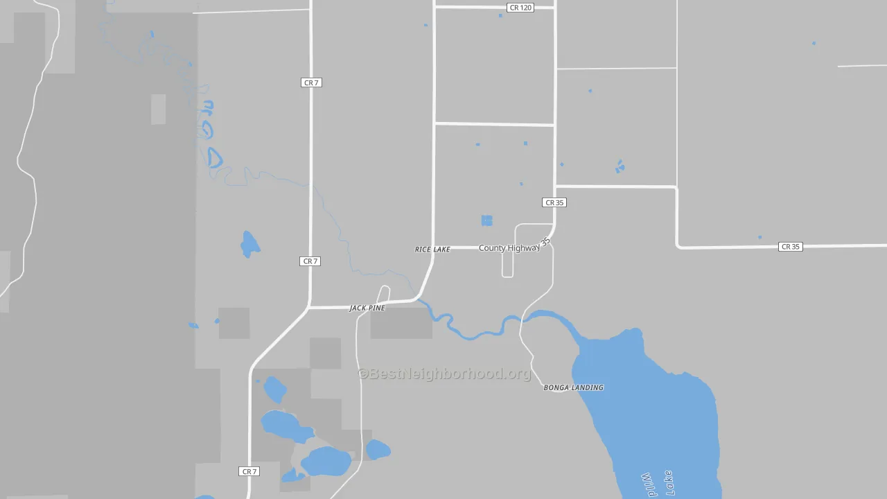 Walk Grade map of Rice Lake, MN, walkable areas in green and car-dependent areas in red