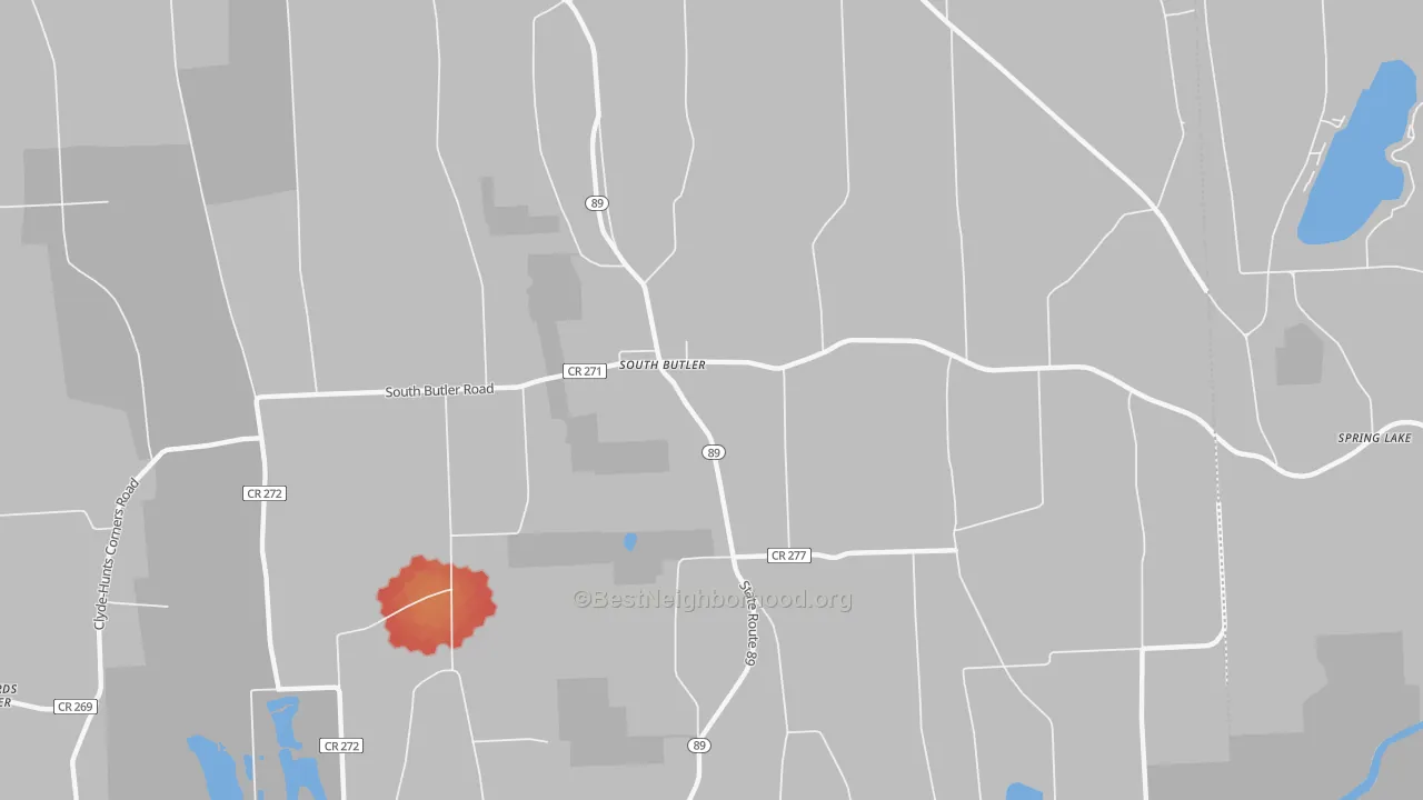 Walk Grade map of South Butler, NY, walkable areas in green and car-dependent areas in red
