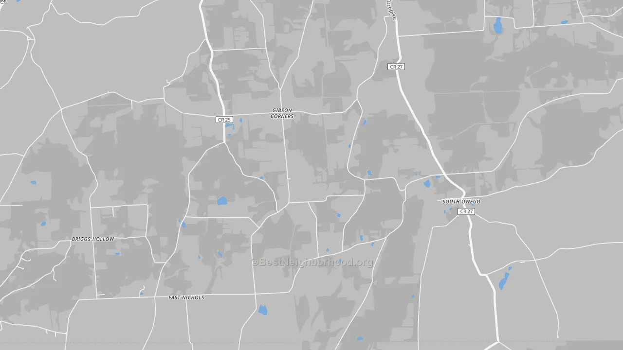 Walk Grade map of South Owego, NY, walkable areas in green and car-dependent areas in red