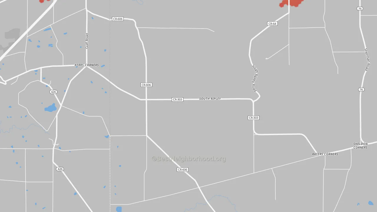 Walk Grade map of South Ripley, NY, walkable areas in green and car-dependent areas in red