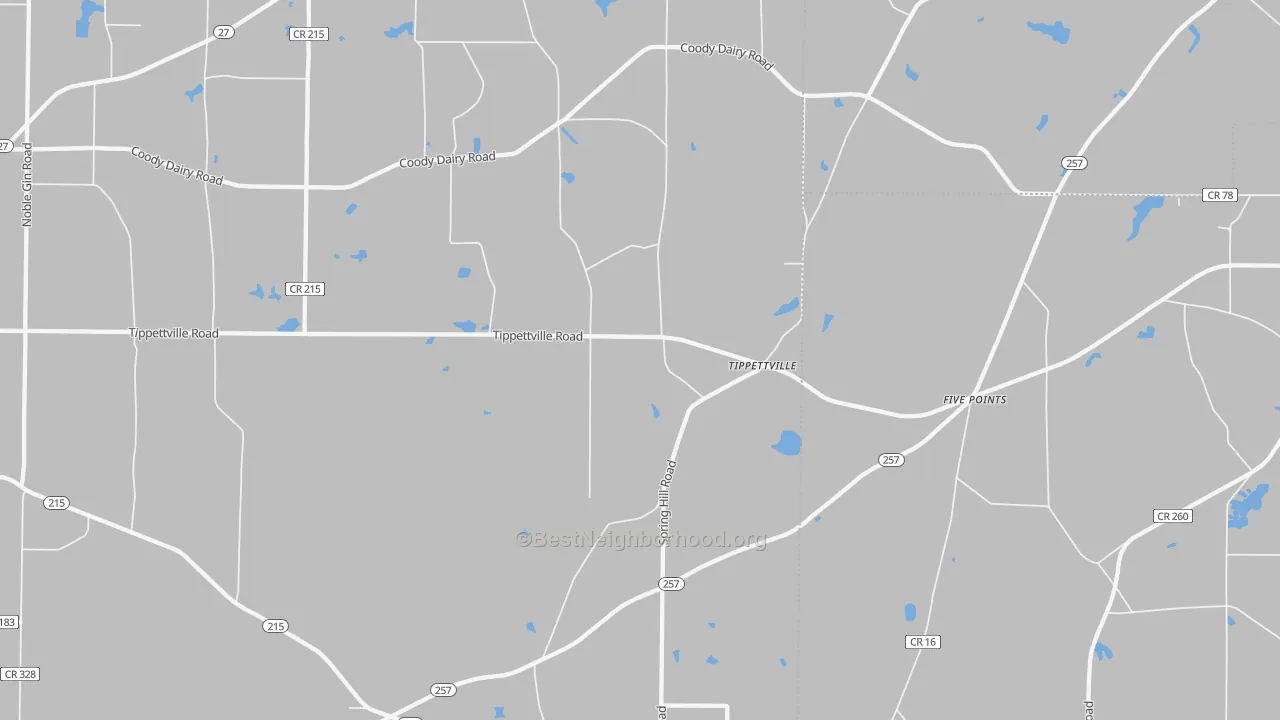 Walk Grade map of Tippettville, GA, walkable areas in green and car-dependent areas in red