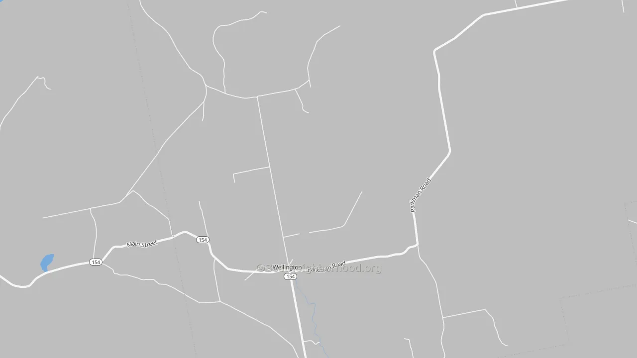Walk Grade map of Wellington, ME, walkable areas in green and car-dependent areas in red