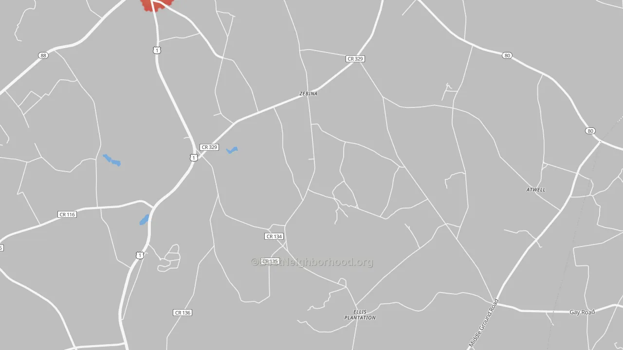 Walk Grade map of Zebina, GA, walkable areas in green and car-dependent areas in red